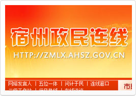宿州政民连线论坛网站建设案例