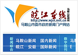 皖江在线网站建设案例
