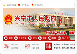 兴宁市人民政府网站建设案例