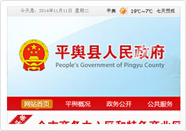 平舆县人民政府网站建设案例