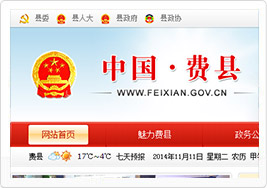 山东费县人民政府网站建设案例