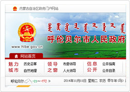 呼伦贝尔市人民政府网站建设案例