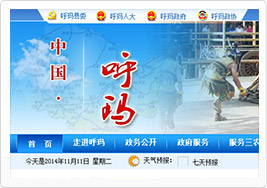呼玛县人民政府网站建设案例