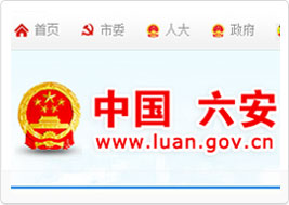 六安市人民政府网站建设案例