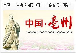亳州市人民政府网站建设案例