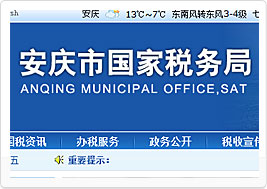 安庆市国税局网站建设案例