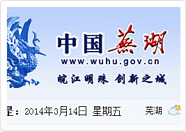 芜湖市人民政府网站建设案例