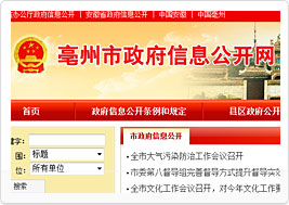 亳州信息公开系统网站建设案例