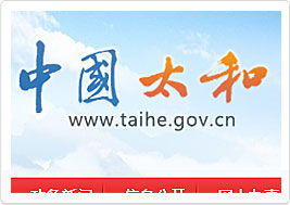 太和县信息公开网站建设案例