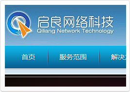 上海启良网络科技有限公司网站建设案例